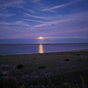 Meet your Posher, Pamela